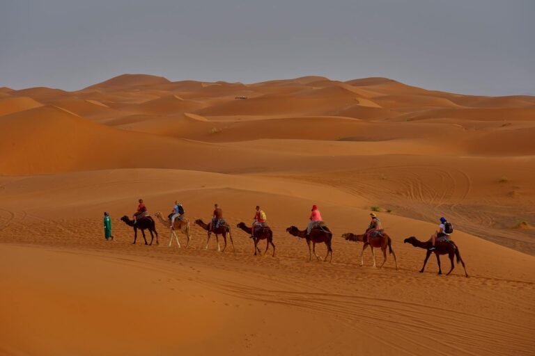 trip to sahara desert