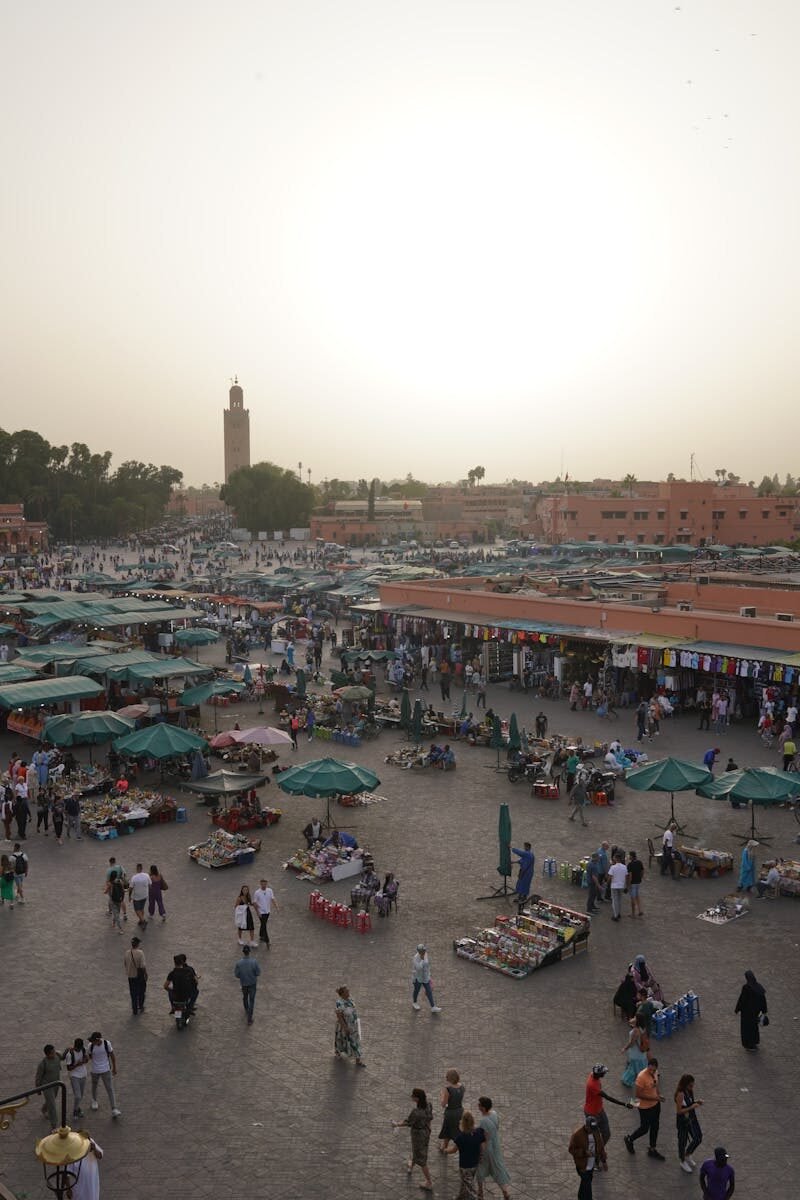 Guided Marrakech city trip visiting Jemaa el-Fnaa and Bahia Palace