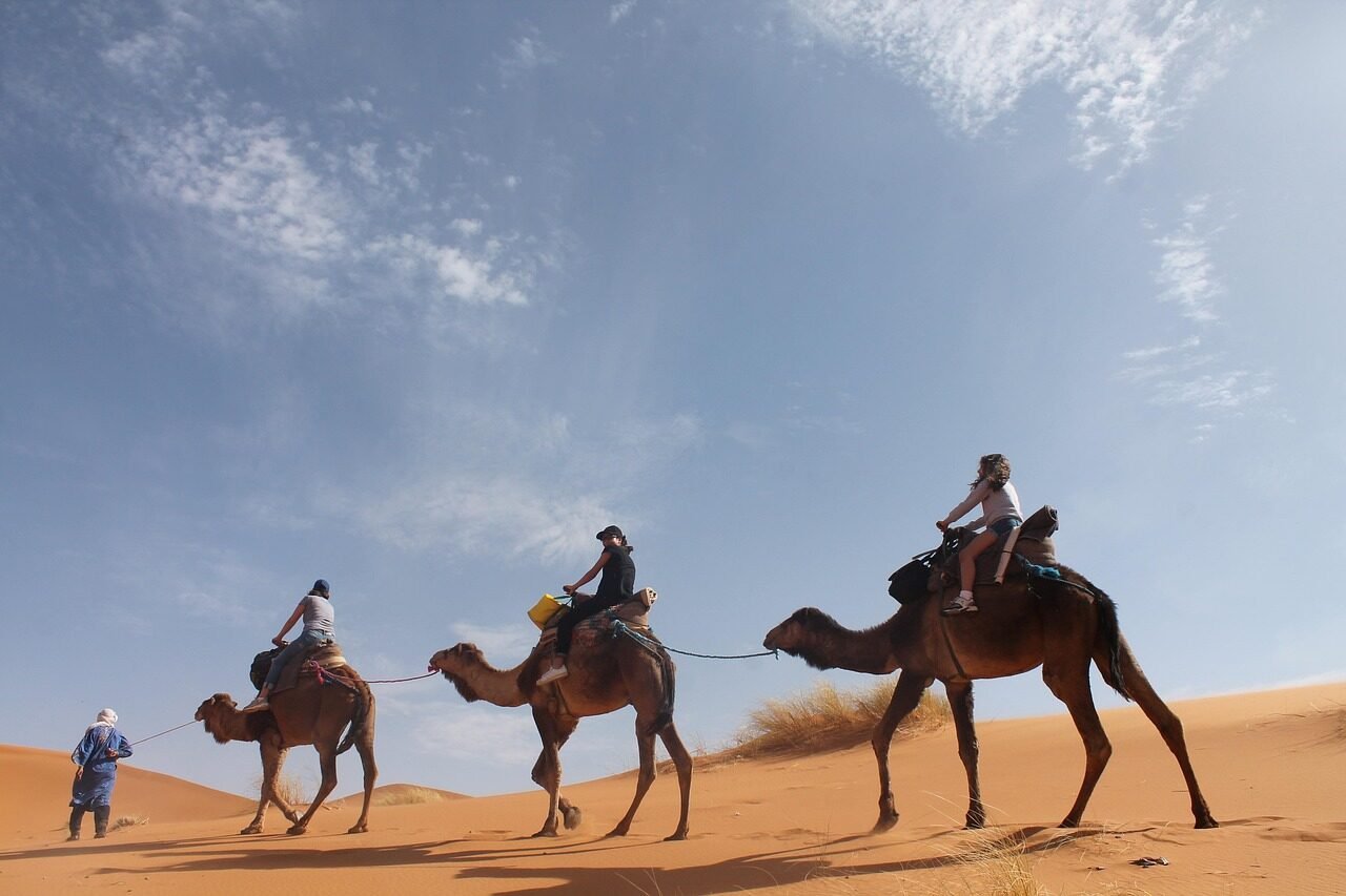 Photo by kamalito1 Camel trekking in the Sahara Desert near Merzouga during sunset in Morocco