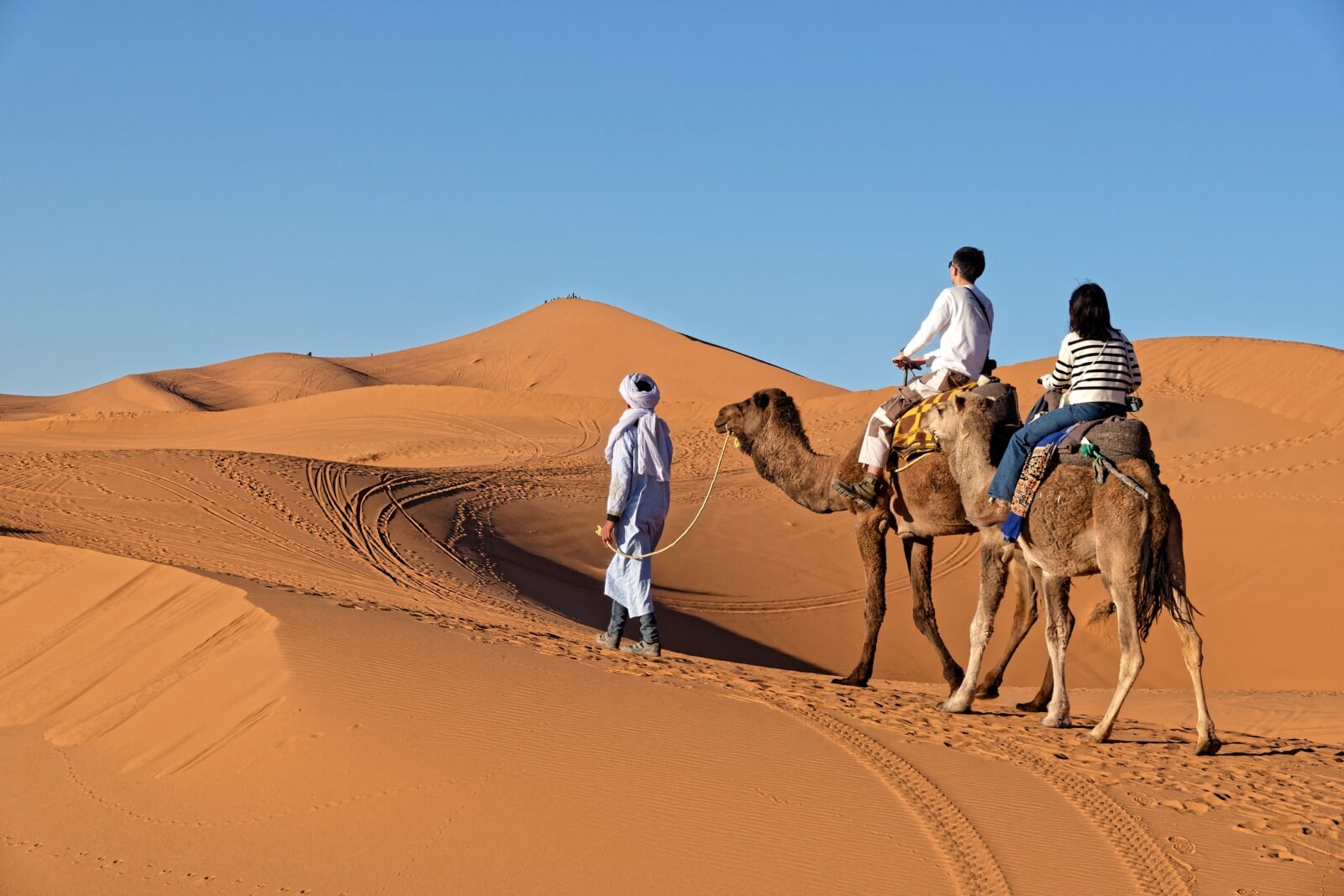 contactez package Morocco voyage au Maroc avec vue de Marrakech et désert du Sahara