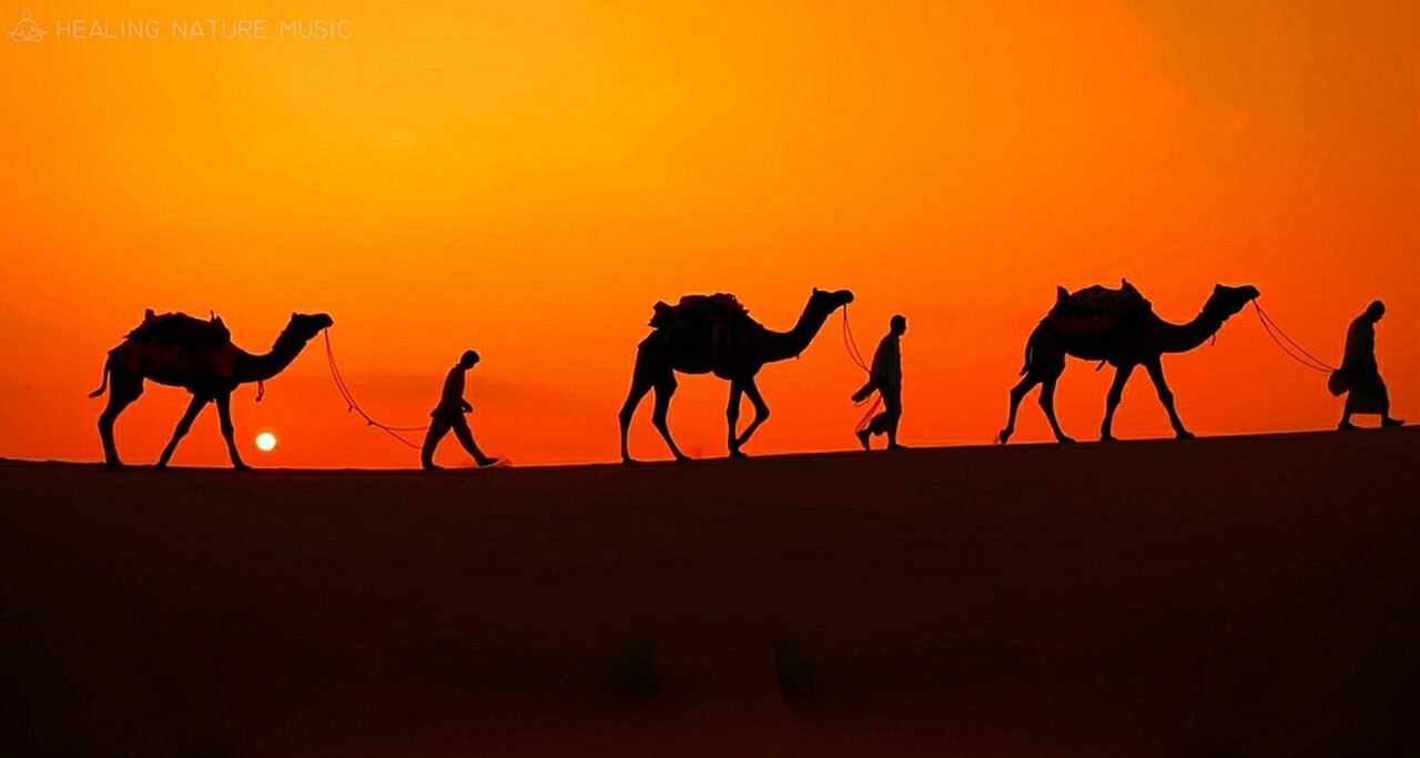 Sahara desert sunset private experience