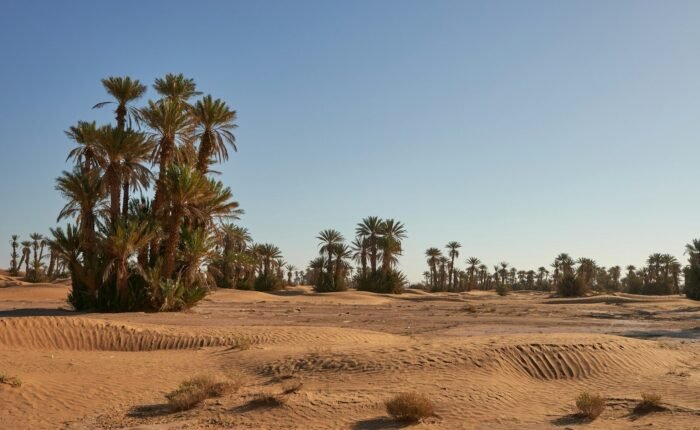 7 Days Morocco Itinerary: Agadir to the Sahara Desert