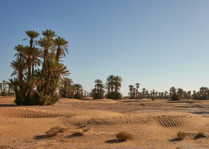 7 Days Morocco Itinerary: Agadir to the Sahara Desert