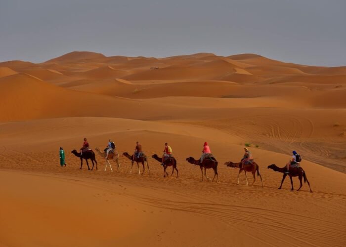 camel trekking Sahara Desert Merzouga