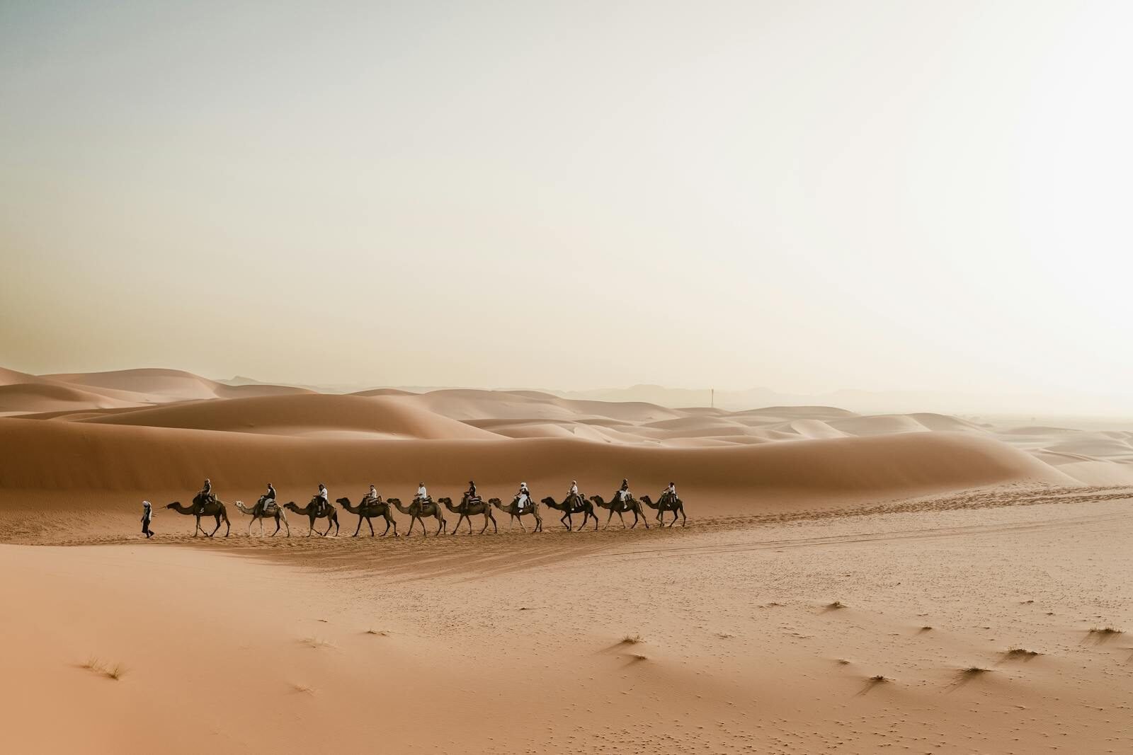 paseo en camello en merzouga al atardecer