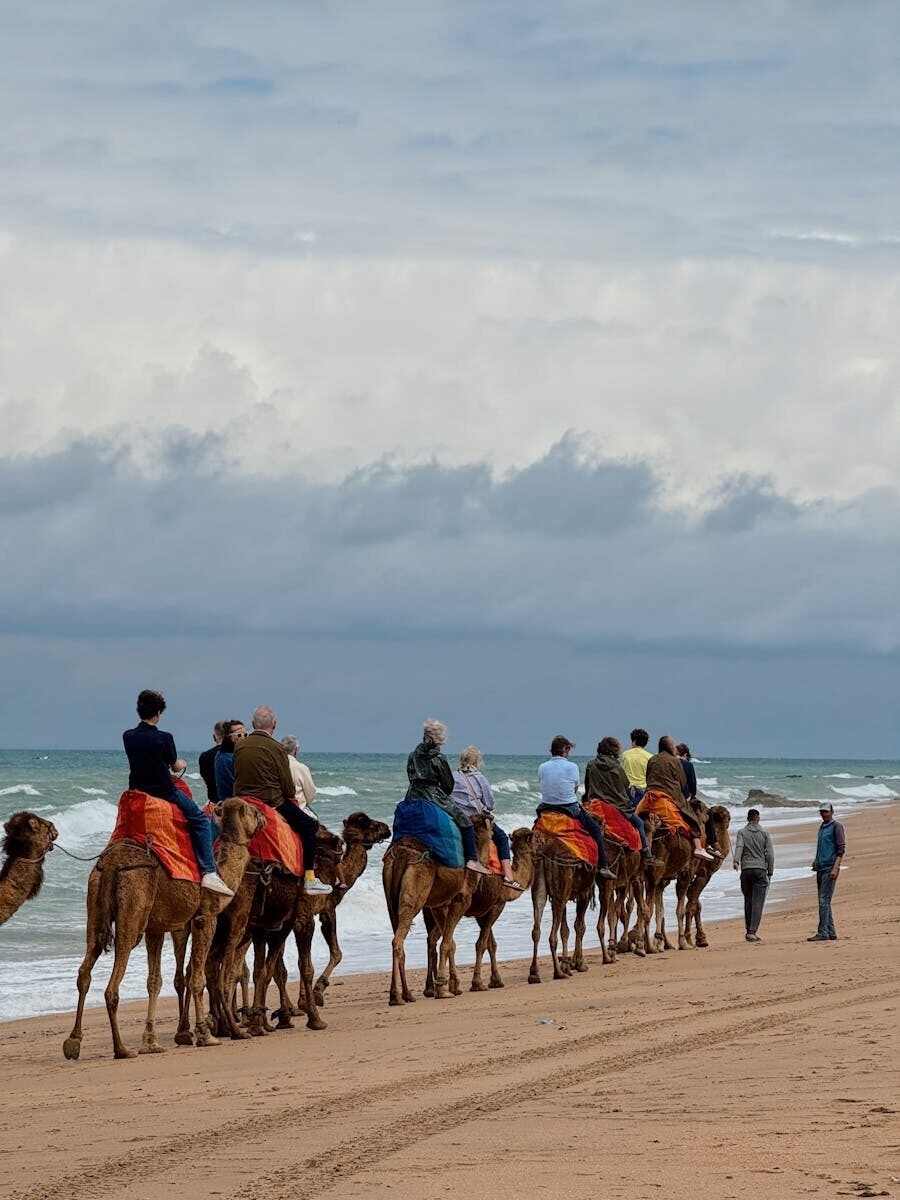 Photo by Никита Шелайкин Camel ride on Essaouira beach