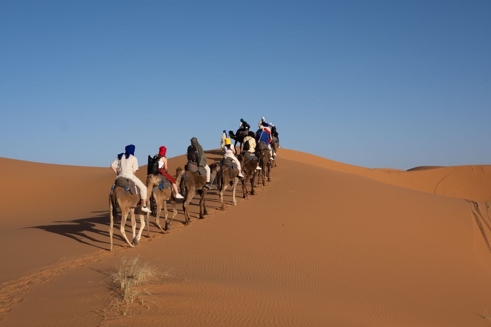 Photo by Emrecan Algül Morocco vacation packages featuring camel trekking in the Sahara Desert at sunset