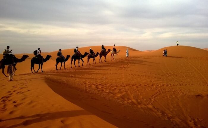 Camel trekking in Merzouga Sahara Desert