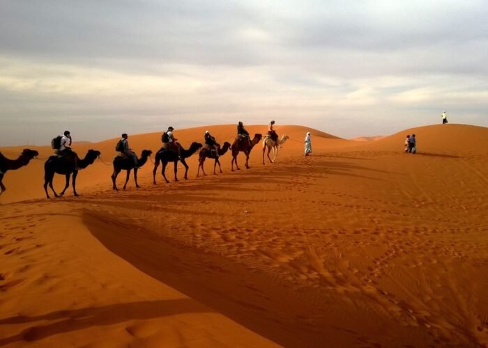 Camel trekking in Merzouga Sahara Desert