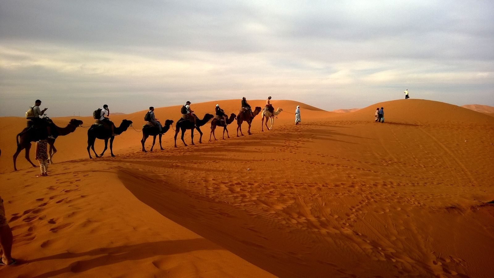 Camel trekking in Merzouga Sahara Desert