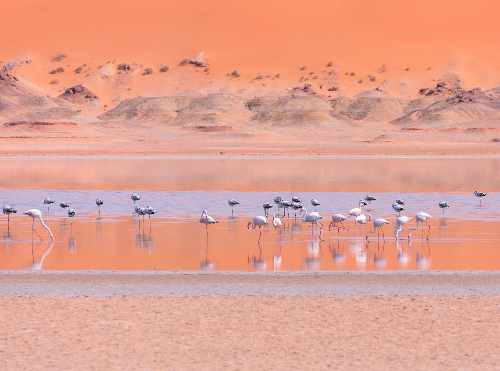 Luxury beach holiday in Morocco