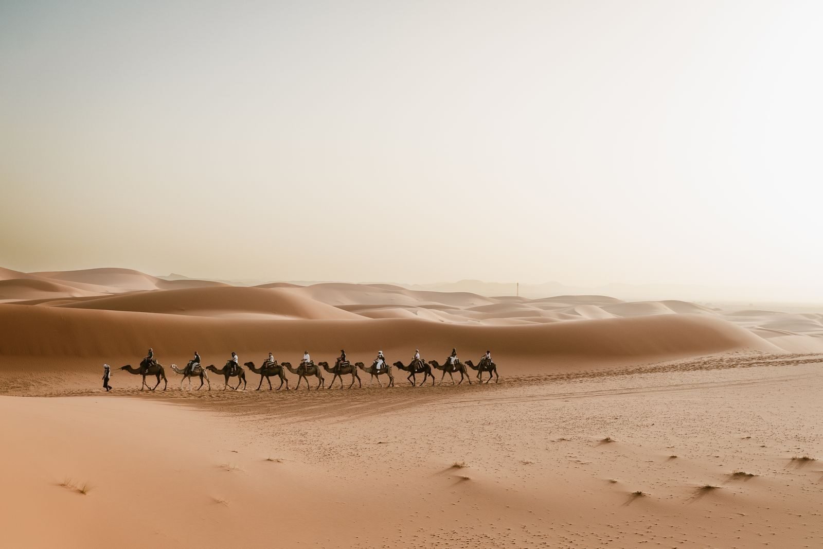Camel trekking in Merzouga Sahara Desert Morocco at sunset
