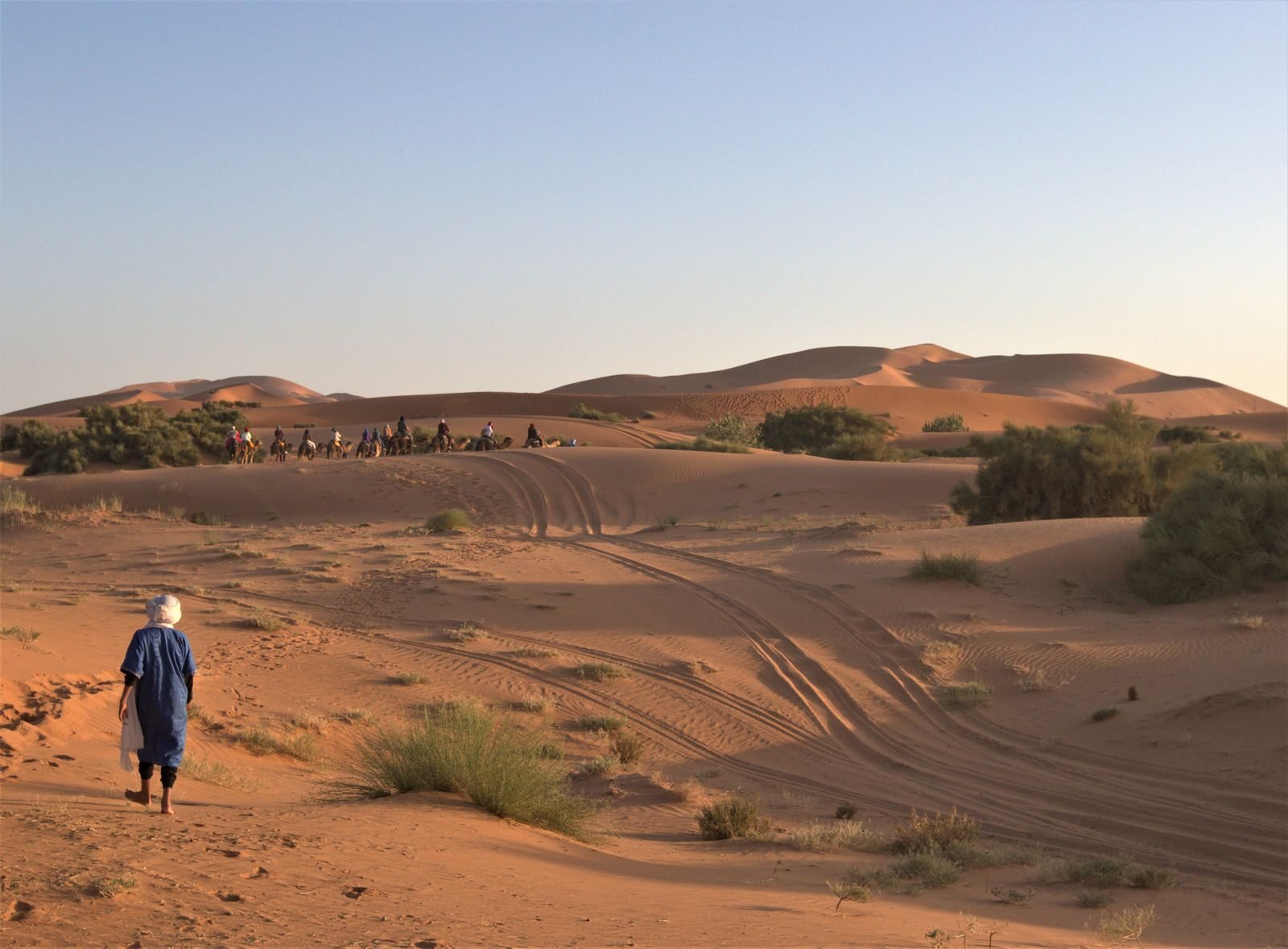 Morocco desert trip from Marrakech camel trekking in Merzouga