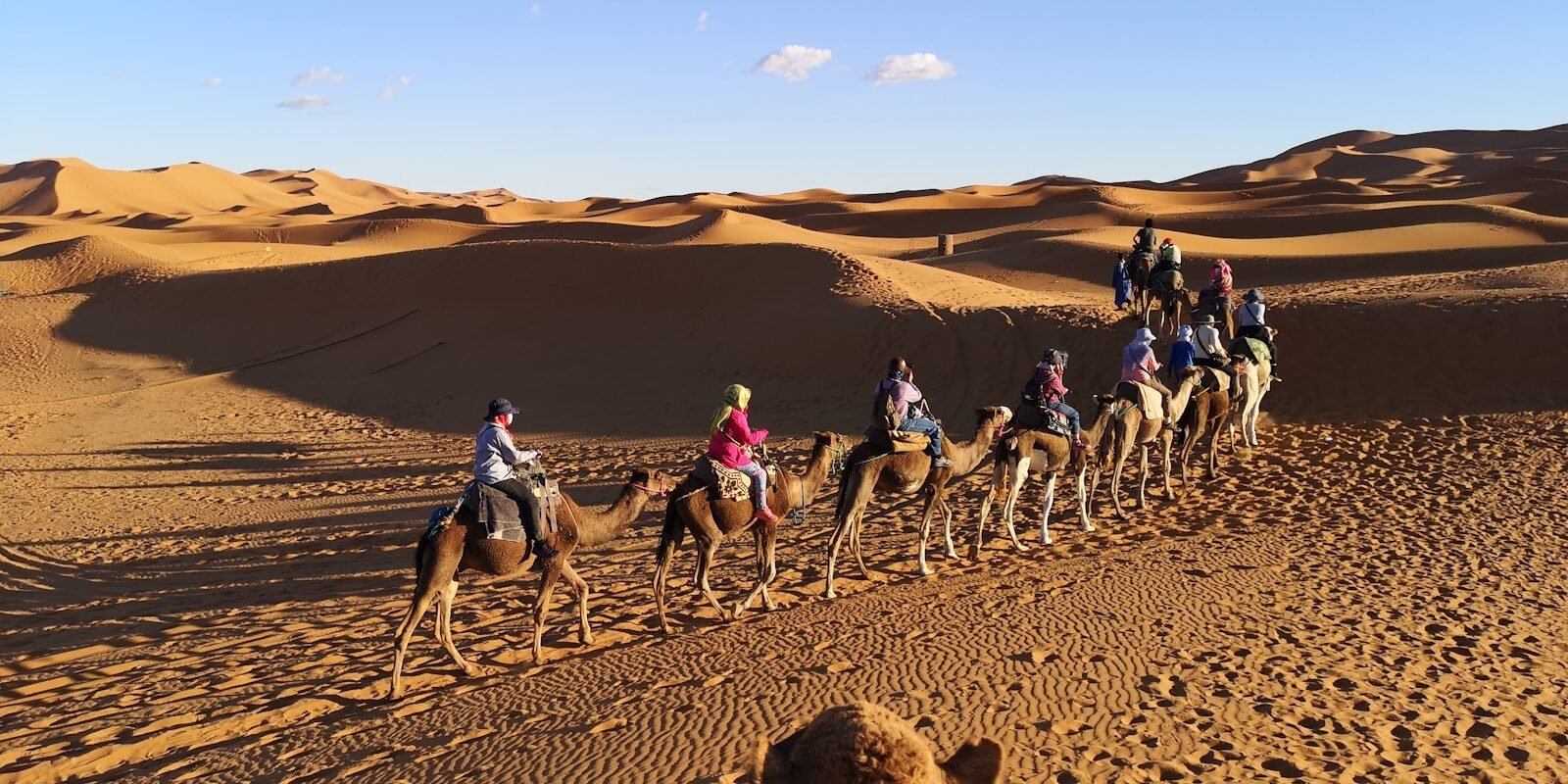 Camel trekking .7 days from Marrakech