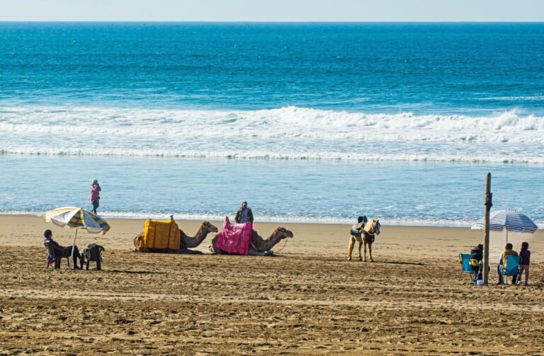 Luxury Agadir holiday resort overlooking the beach