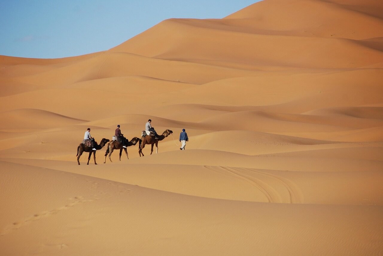 Camel trekking in Merzouga Morocco