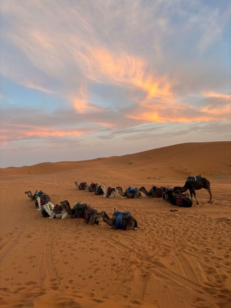 Sahara Desert tour Morocco camel trekking at sunset