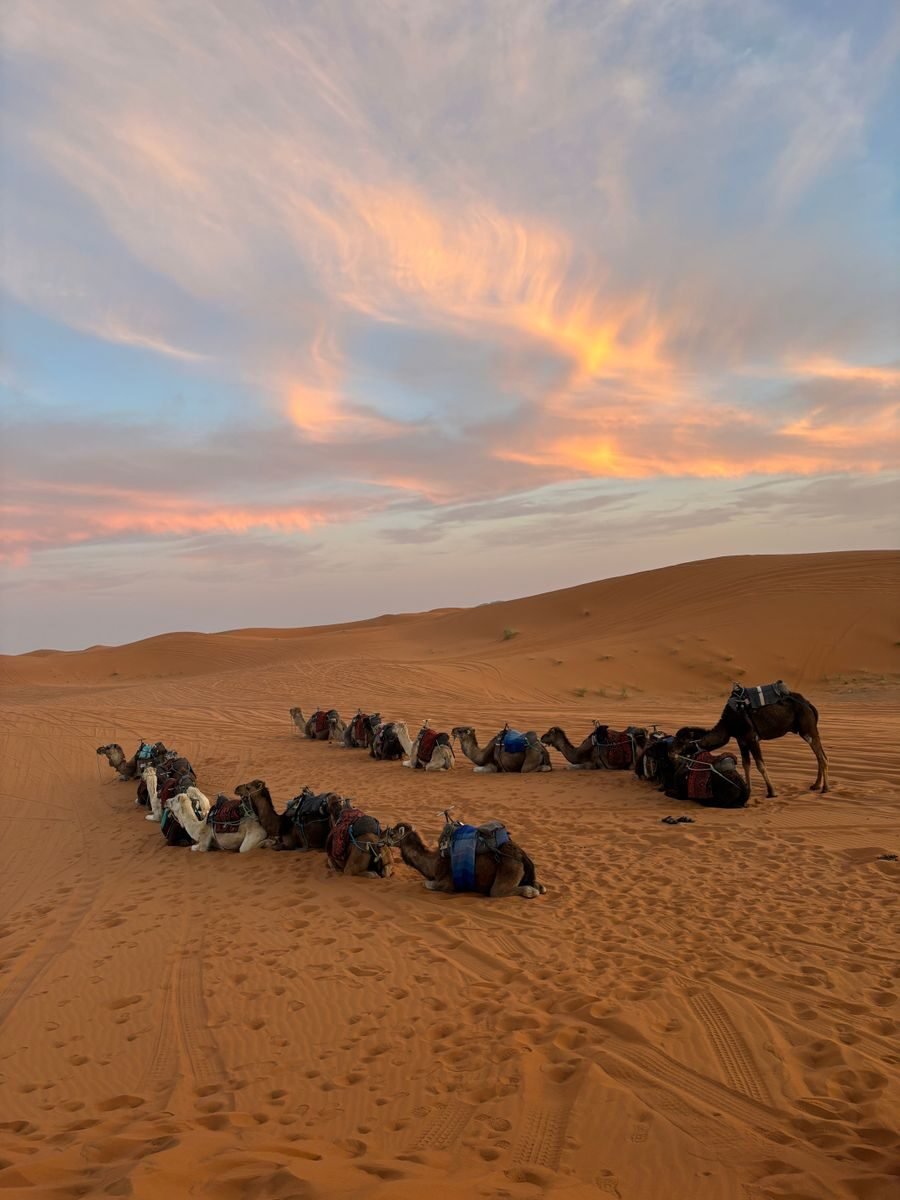 Sahara Desert tour Morocco camel trekking at sunset
