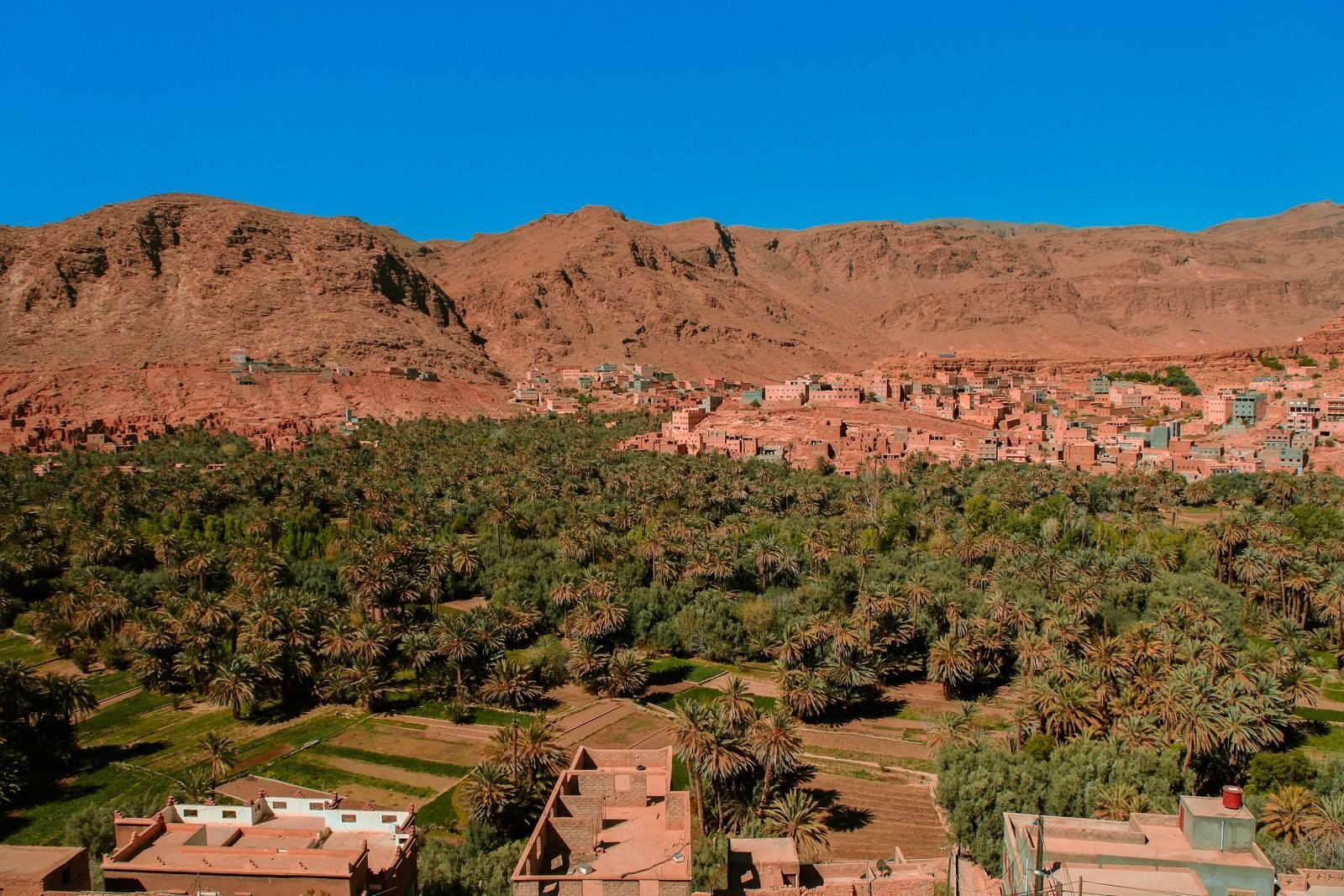 Highlights of Morocco including Marrakech Sahara Desert and Atlas Mountains
