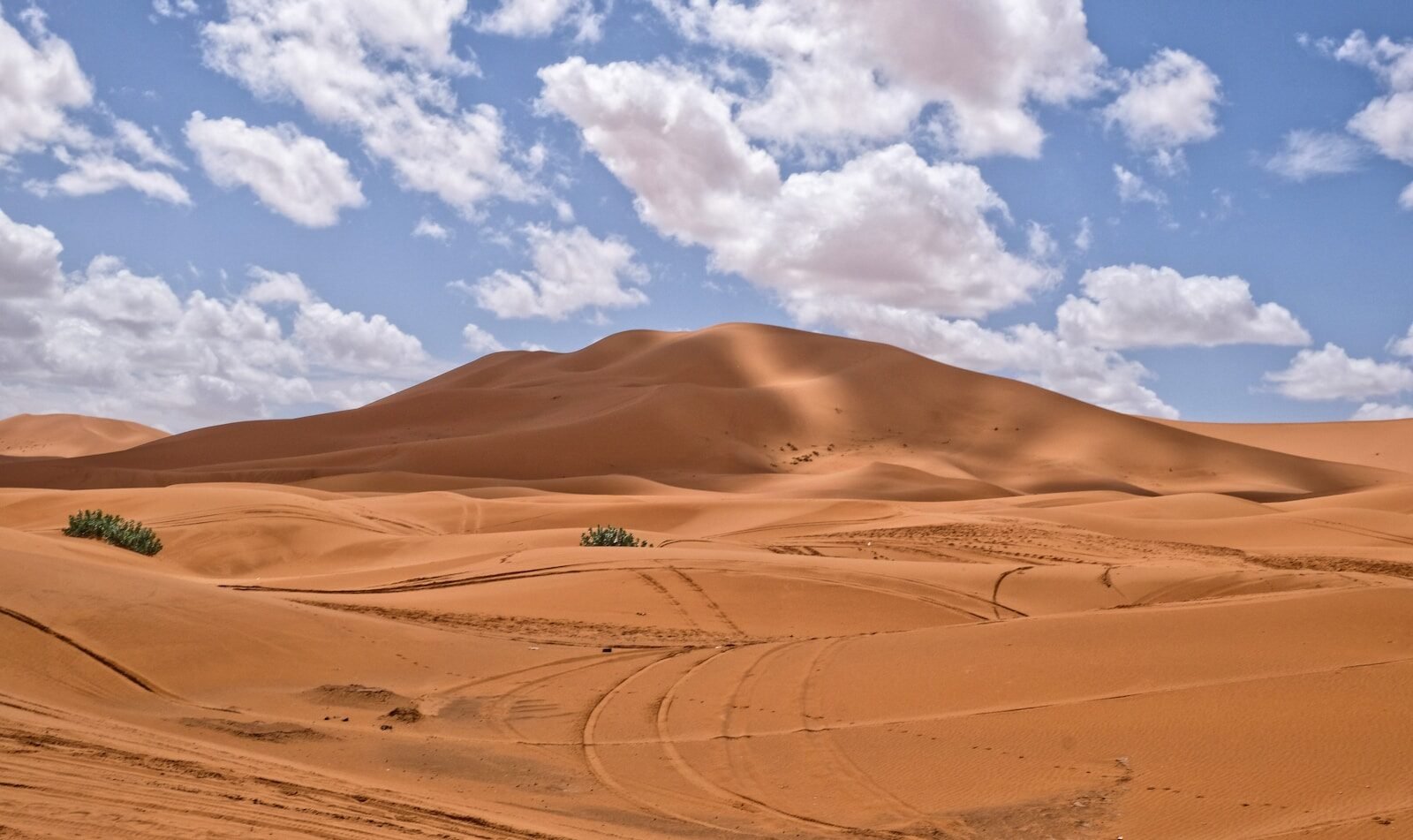 California to Morocco Sahara Desert tour