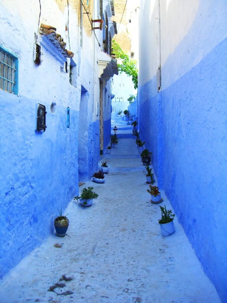 chefchaouen, morocco, blue, alley, arabic, village, blue houses, north africa, passage, path, chefchaouen, chefchaouen, chefchaouen, chefchaouen, chefchaouen