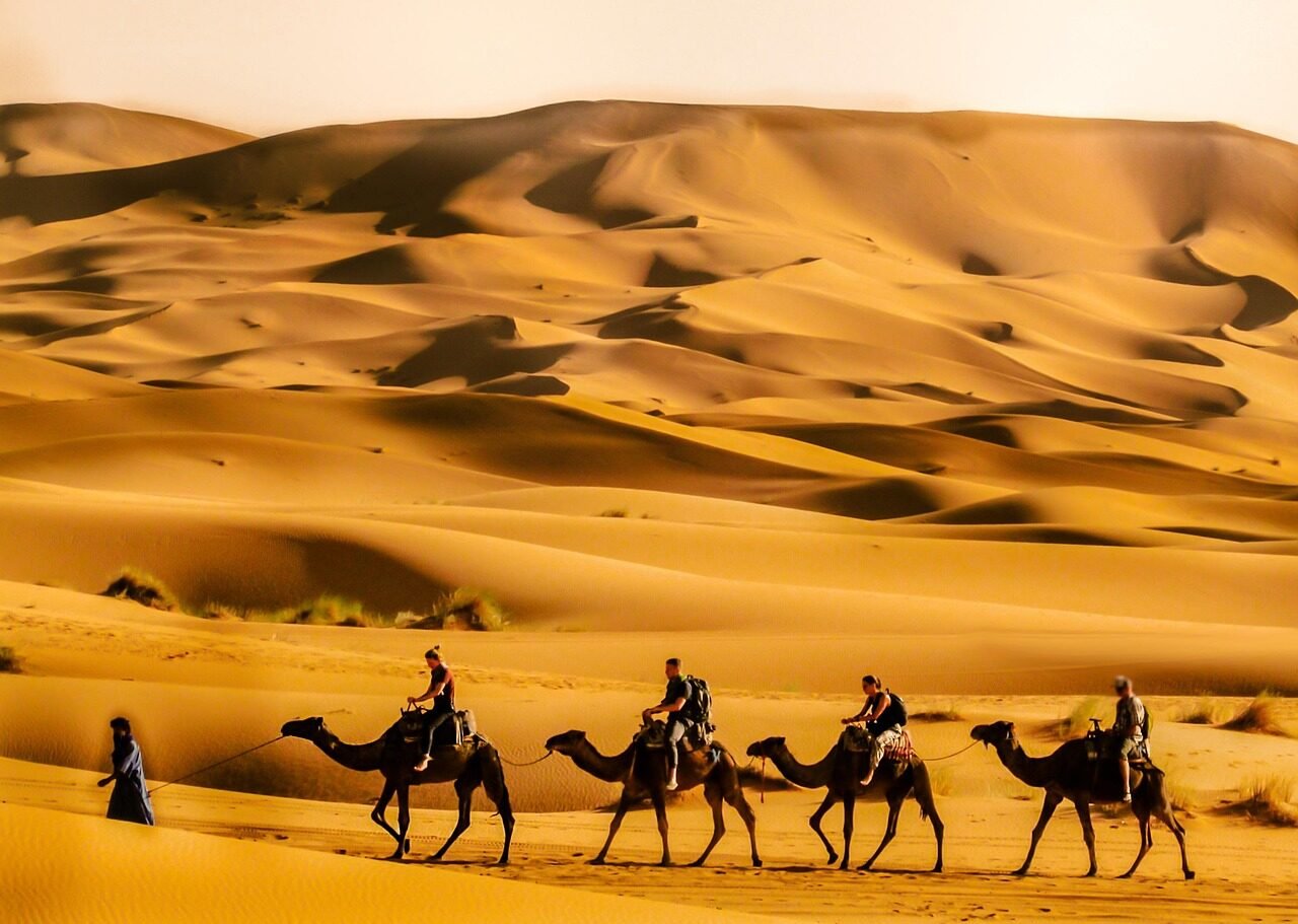 Sahara Marocko med sanddyner och kameler